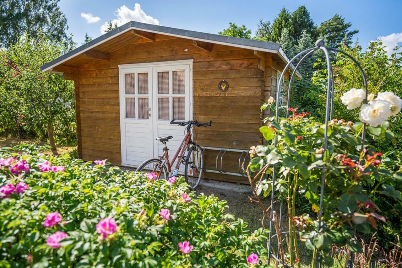 Fewo An den Deichwiesen/DÜLS Karlshagen Exterior foto